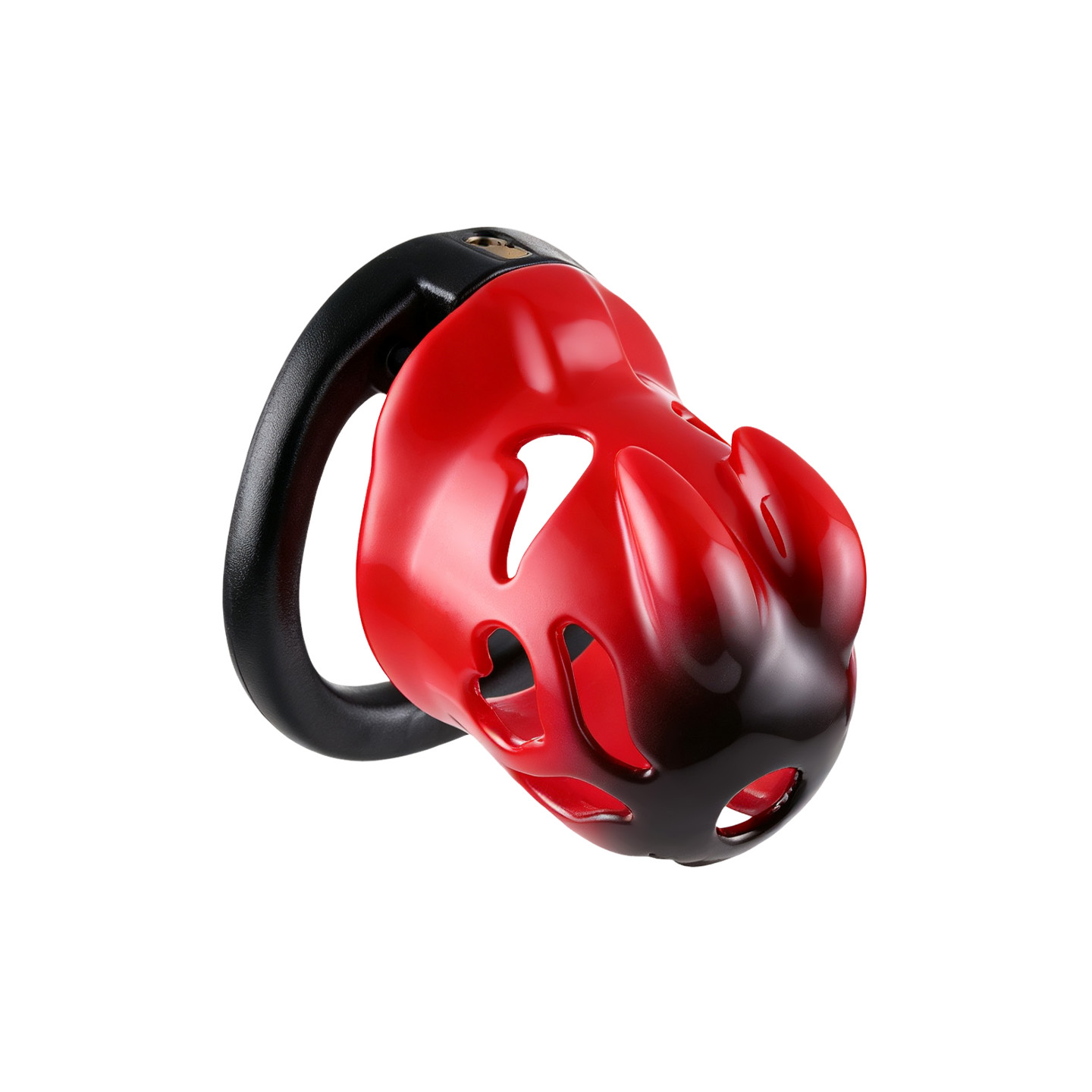 Anello di castità maschile a 5 - Home Security Ring recensione e prezzo