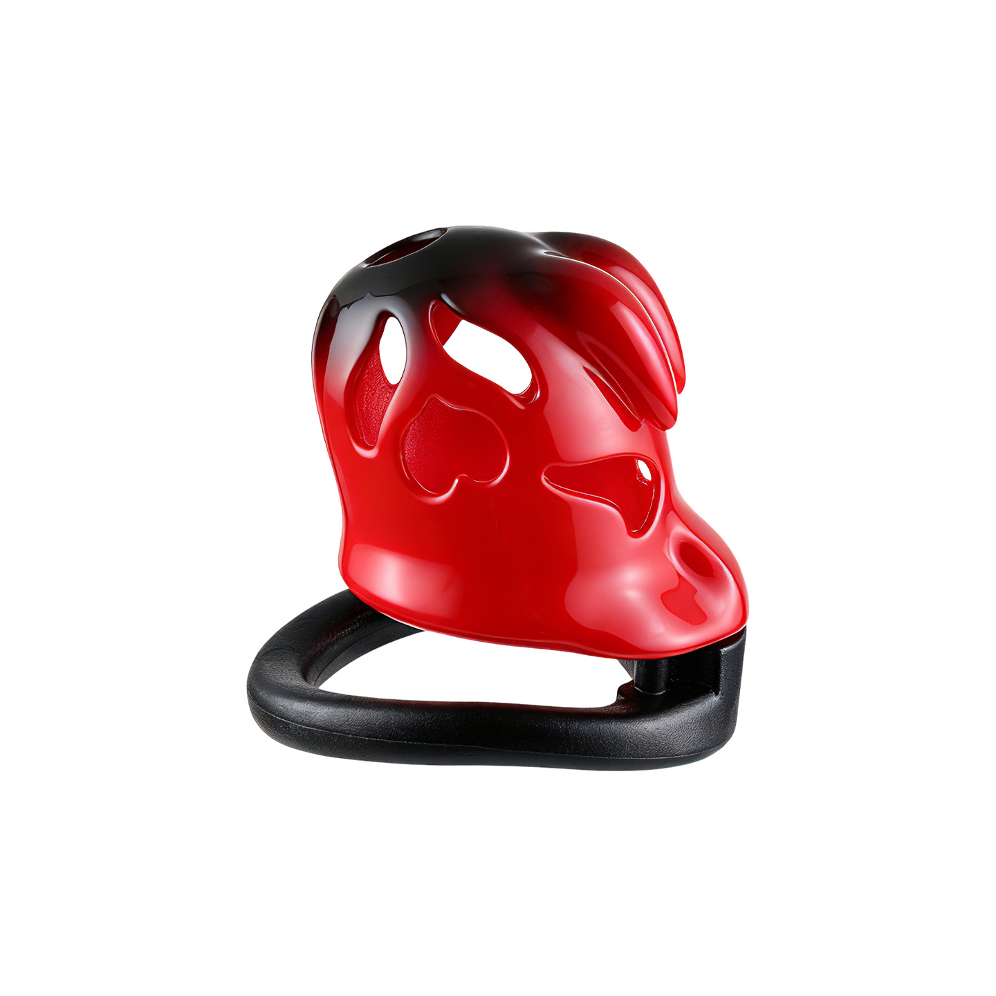 Anello di castità maschile a 5 - Home Security Ring recensione e prezzo