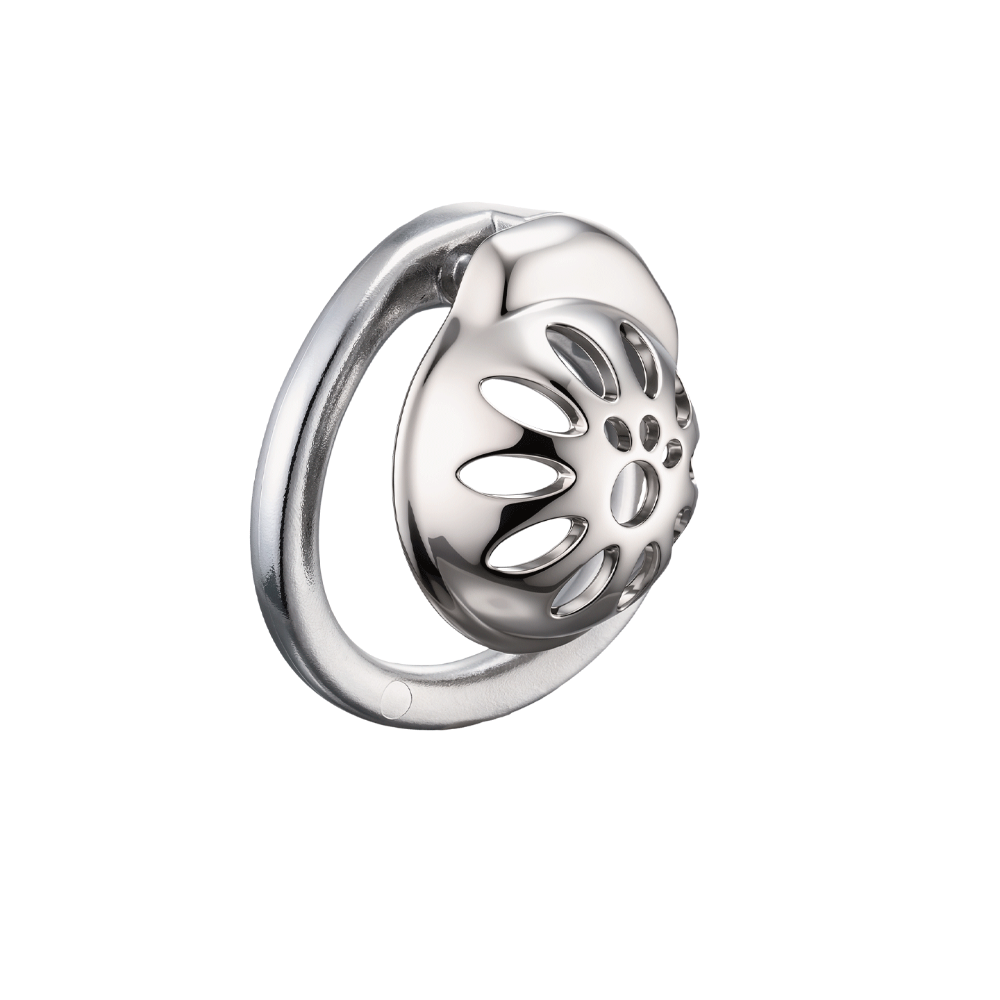 Gabbia di Castità Maschile con - Home Security Ring recensione e prezzo